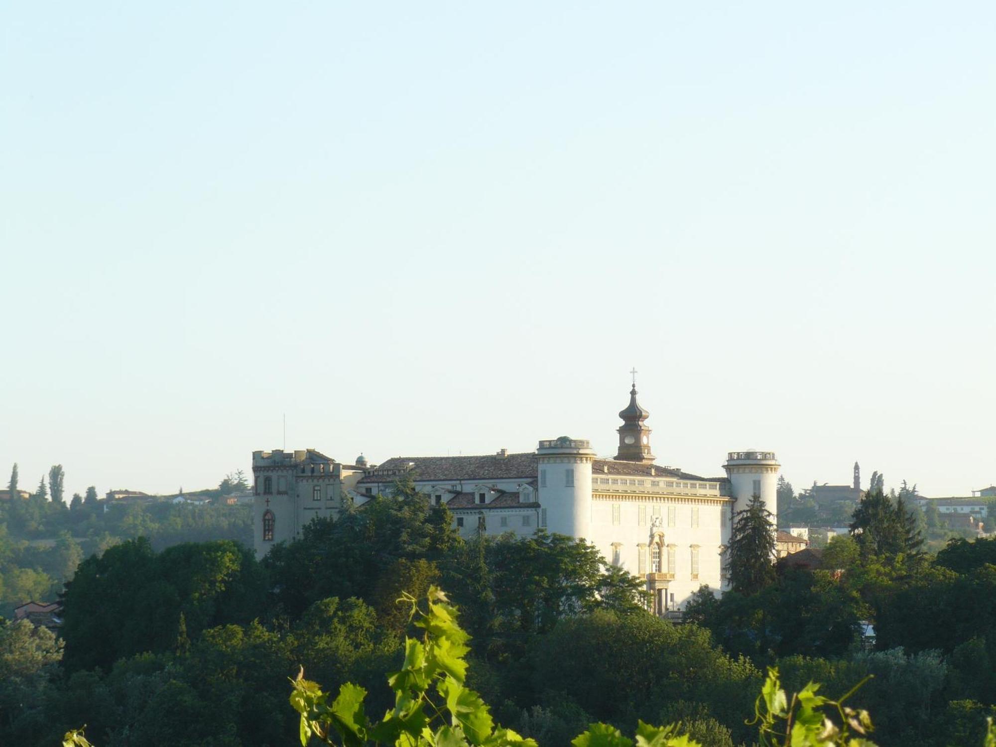 Hotel Langhe & Monferrato Costigliole d'Asti Bagian luar foto