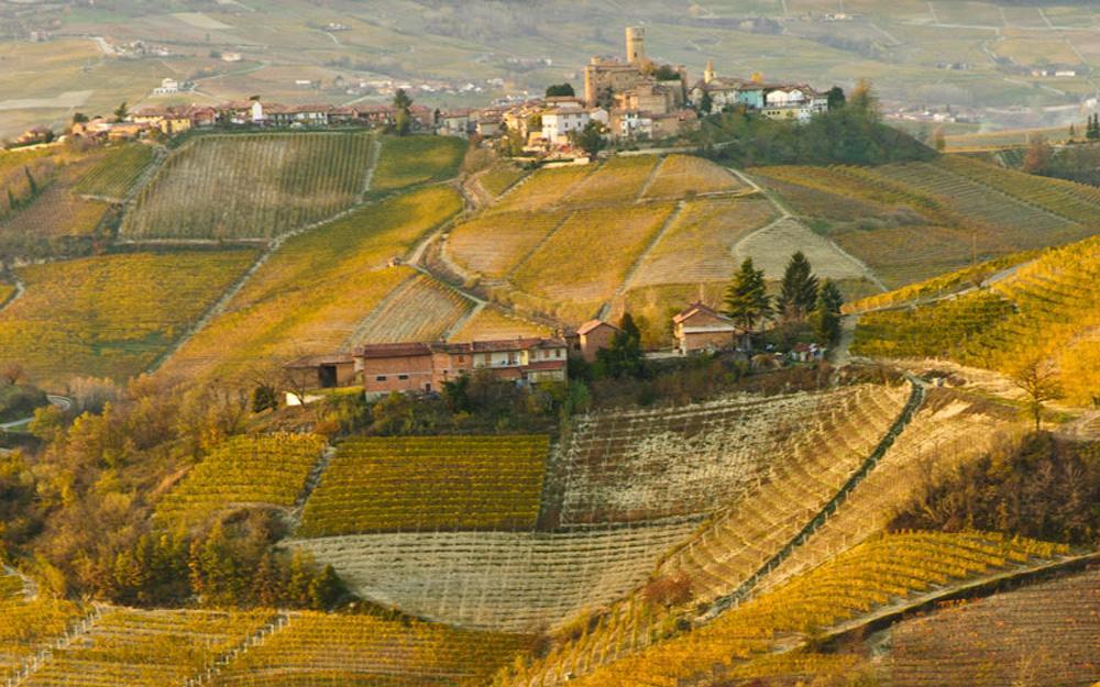 Hotel Langhe & Monferrato Costigliole d'Asti Bagian luar foto